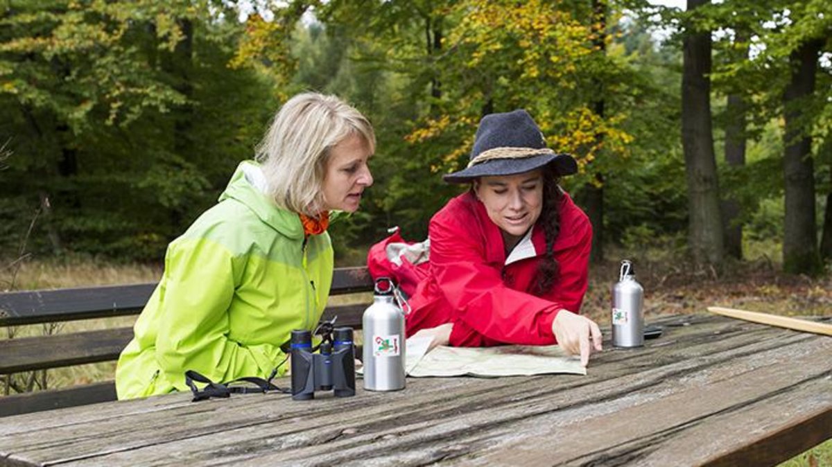 Rast auf der Geißhöhe in Dammbach