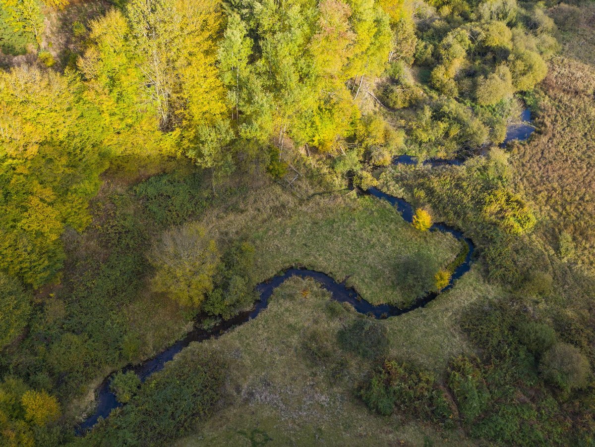 Mavic2-2020-10-21-060 ©Holger Leue