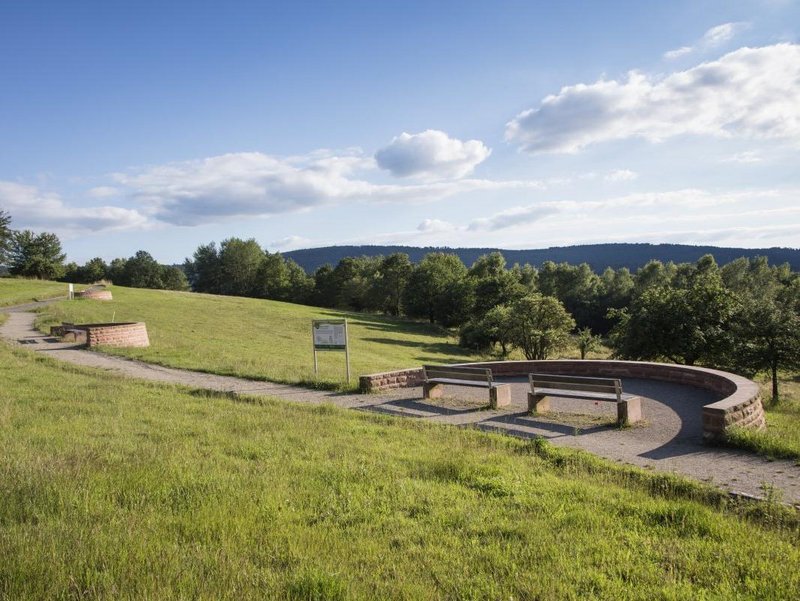 Barrierefreies Walderlebnis auf dem Oberschnorrhof in Dammbach