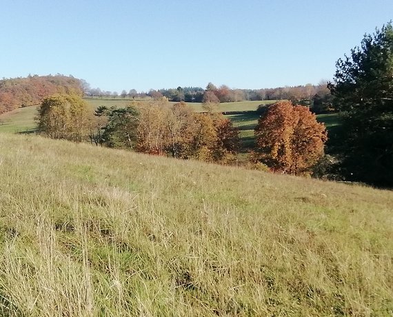    Rothenbuch